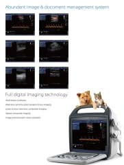3d 4d Handheld Venerinary Ultrasound Machine,Fatali Medical equipment