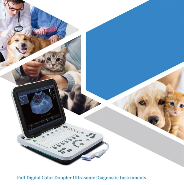 Portable Animals Color Doppler Ultrasonic Diagnostic Instruments,Fatali Medical equipment