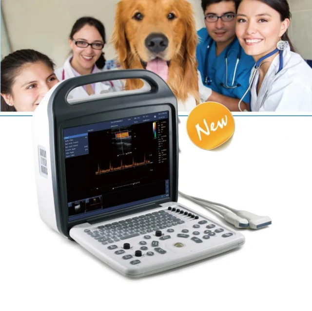 3d 4d Handheld Venerinary Ultrasound Machine,Fatali Medical equipment
