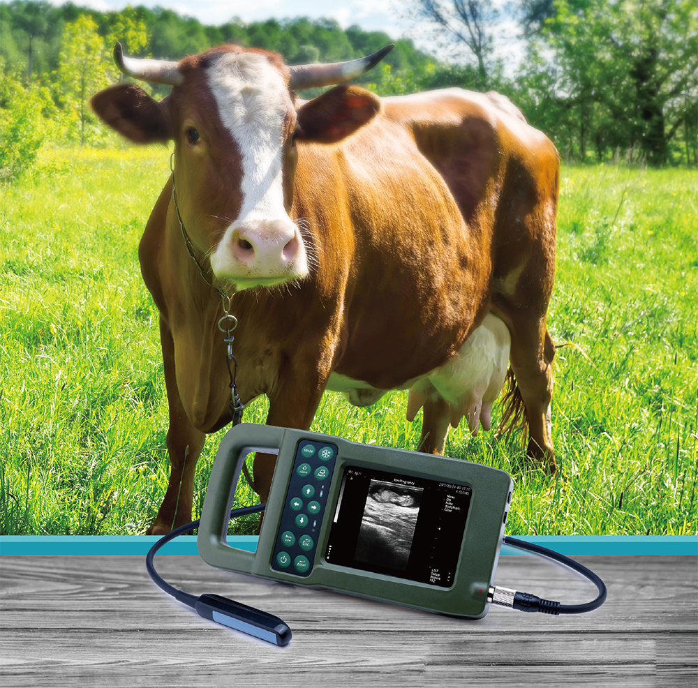 vet Ultrasound Machines