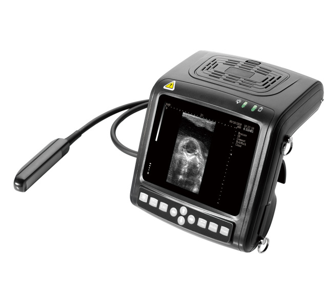 Portable Ultrasound Machine for Check Animal's Uterine Function,Fatali Medical equipment