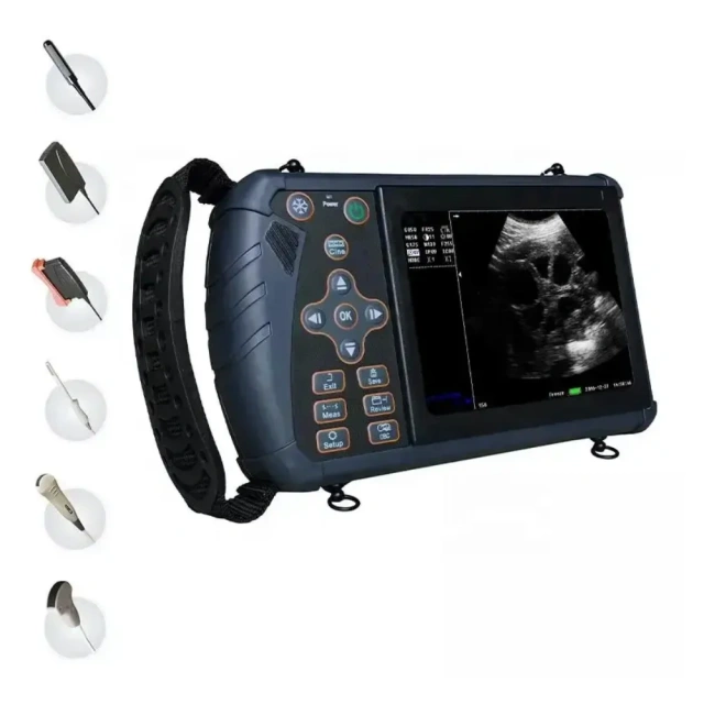 Portable Ultrasound Machine for Check Animal's Uterine Function,Fatali Medical equipment