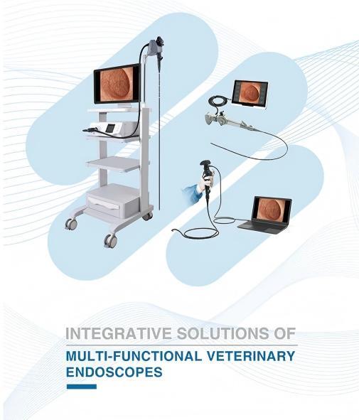 Fatali Veterinary Endoscope Machine / Cat Dog Equine Gastroscope,Fatali Medical equipment