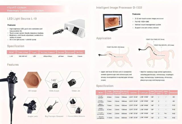 Fatali Veterinary Endoscope Machine / Cat Dog Equine Gastroscope,Fatali Medical equipment