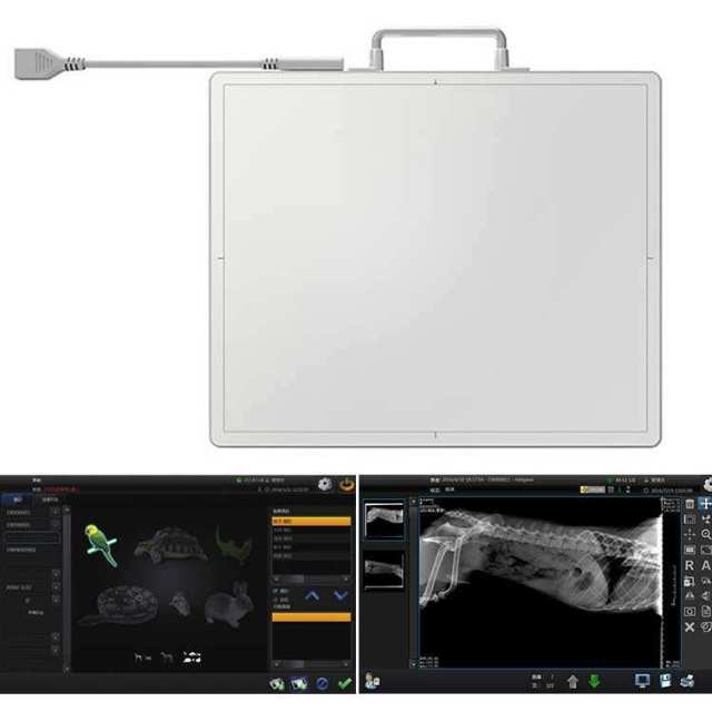 Wired & Wireless Portable Flat Panel Detector for Veterinary Digital Radiography,Fatali Medical equipment