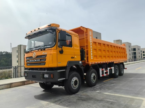 F3000 8X4 DUMP TRUCK