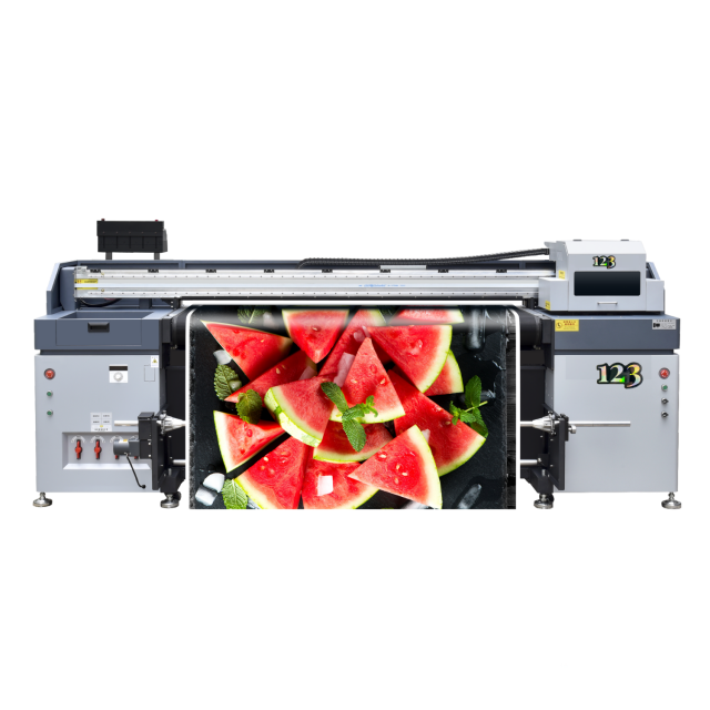 HYBRID MESH BELT PRINTER