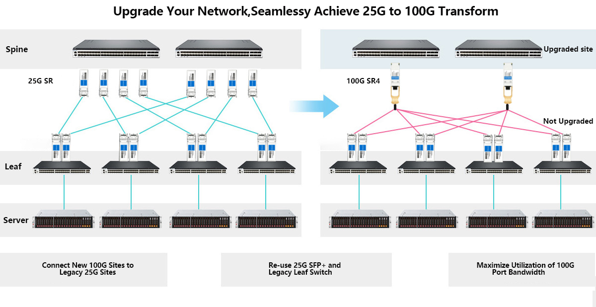 SFP28 SR partial 100G equipment upgrade compatible with existing 25G network diagram