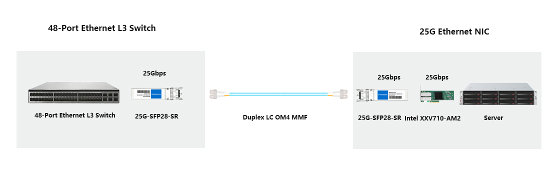SFP28 SR 25G switch to 25G server VIC NIC multimode cabling layout