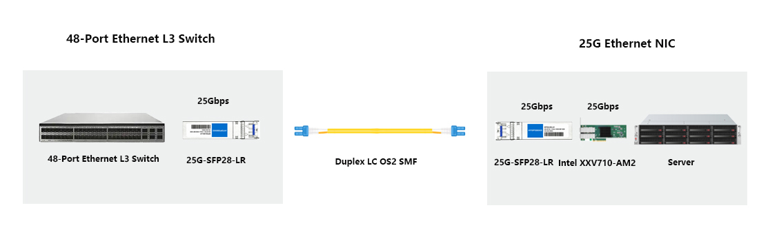 25G SFP28 LR switch-to-server access solution for server room regular replacement spare stock management
