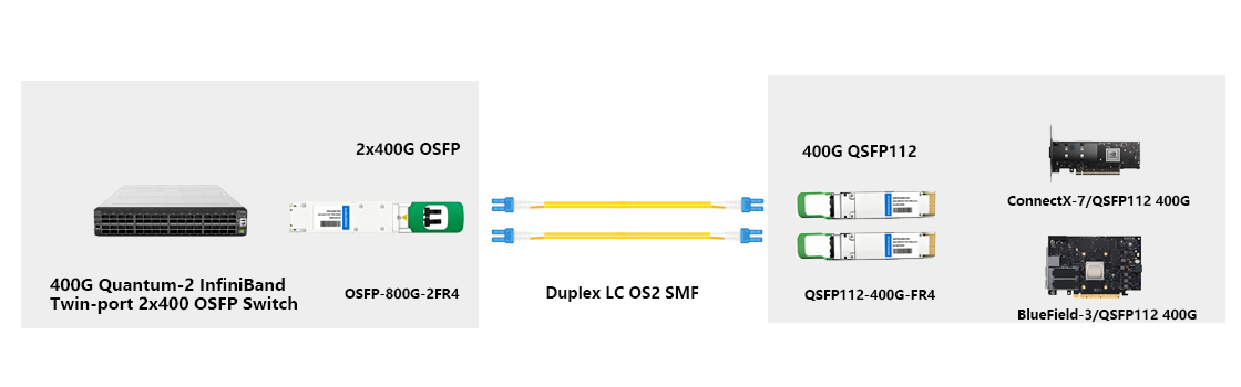 800G 2x400G twin-port OSFP dual independent 400G paths connecting switch to two adapter cards for distributed AI clusters