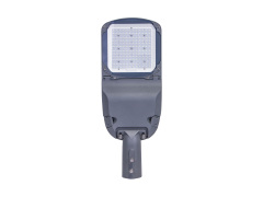 L-100W