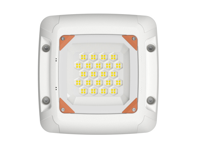 Explosion-Proof Light for Gas Stations(FY1)