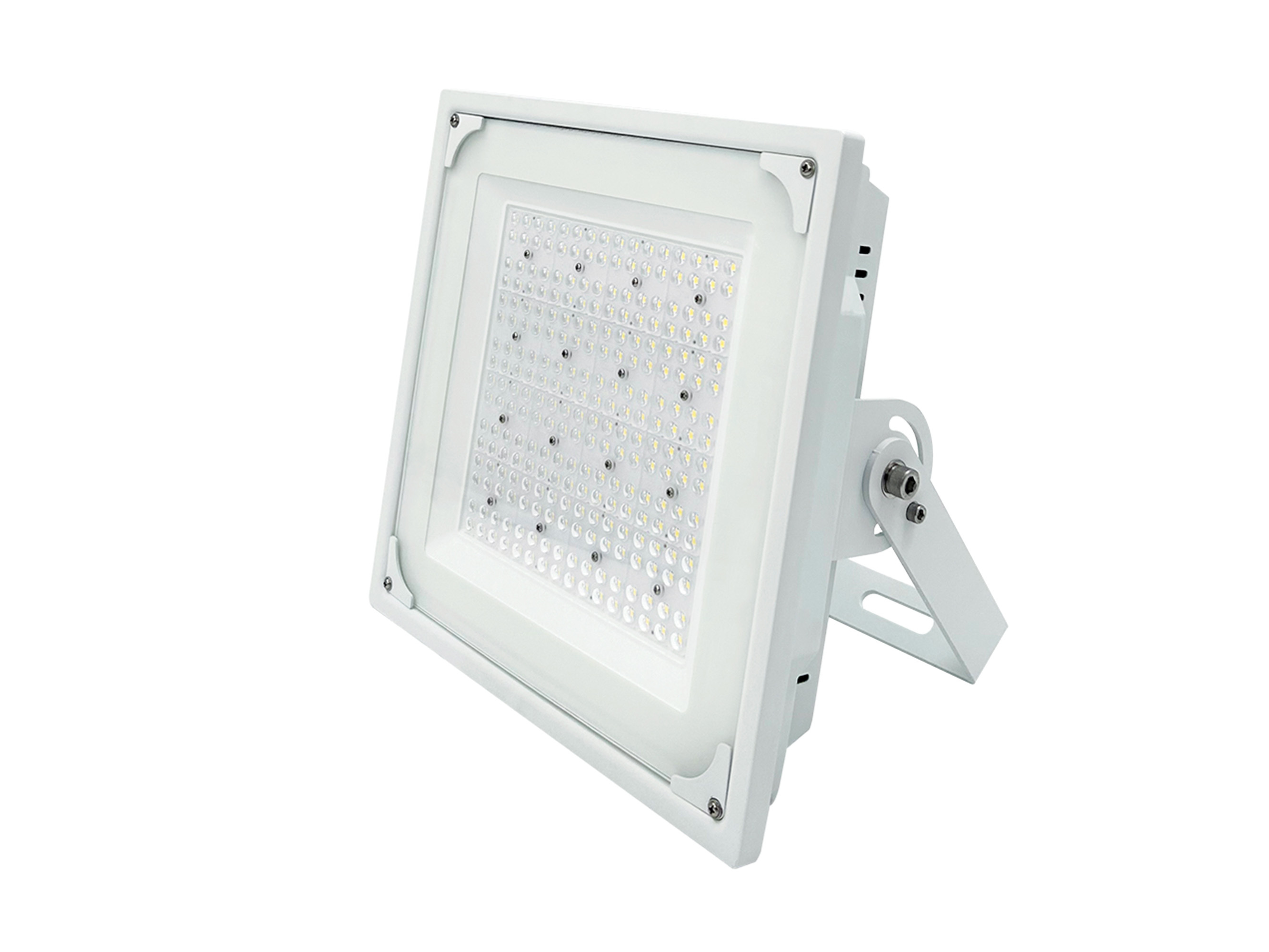 Explosion-Proof Light for Gas Stations(FY2)
