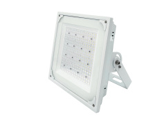 Explosion-Proof Light for Gas Stations(FY2)