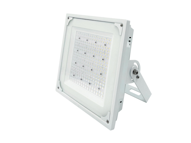 Explosion-Proof Light for Gas Stations(FY2)