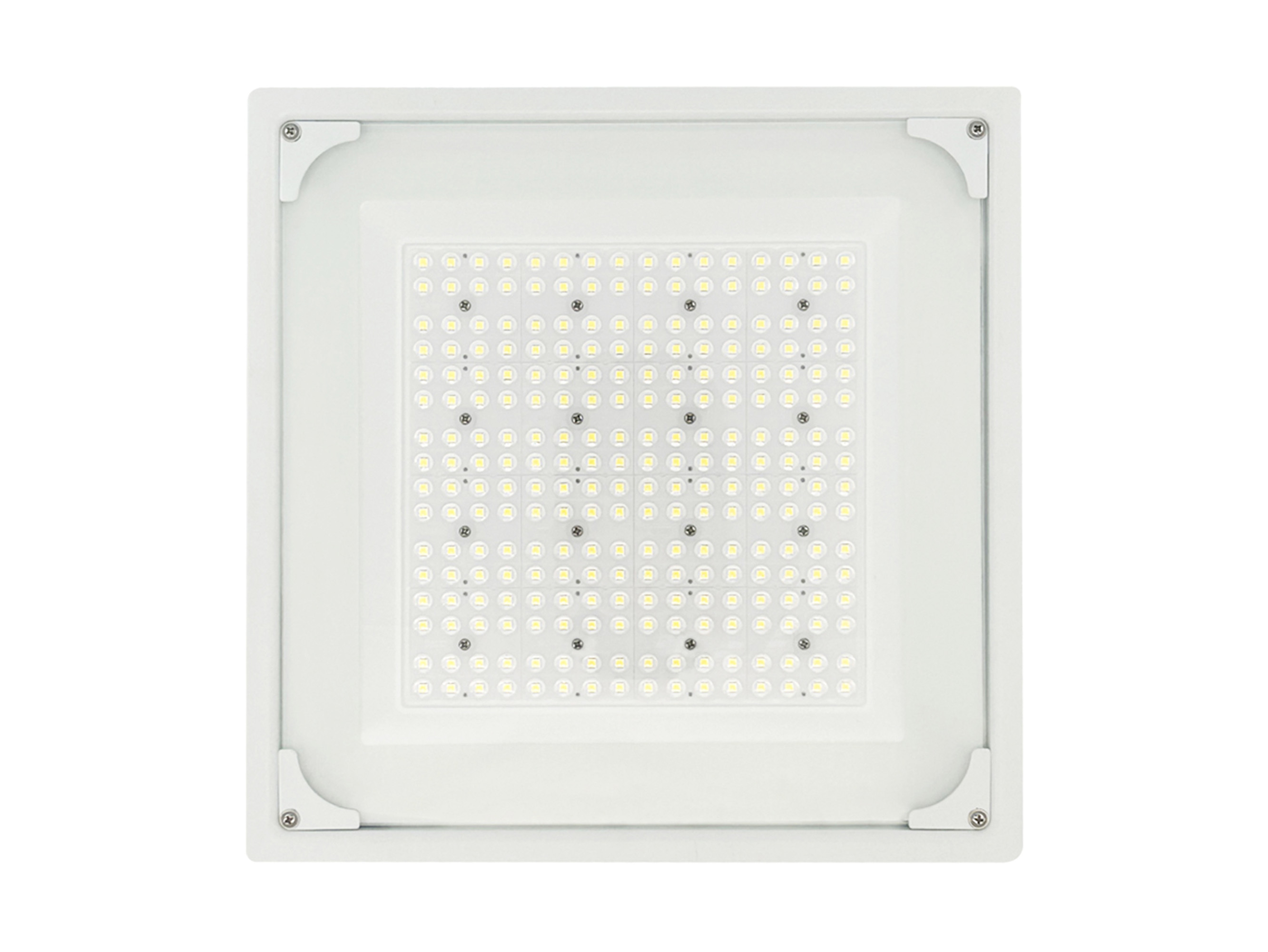 Explosion-Proof Light for Gas Stations(FY2)