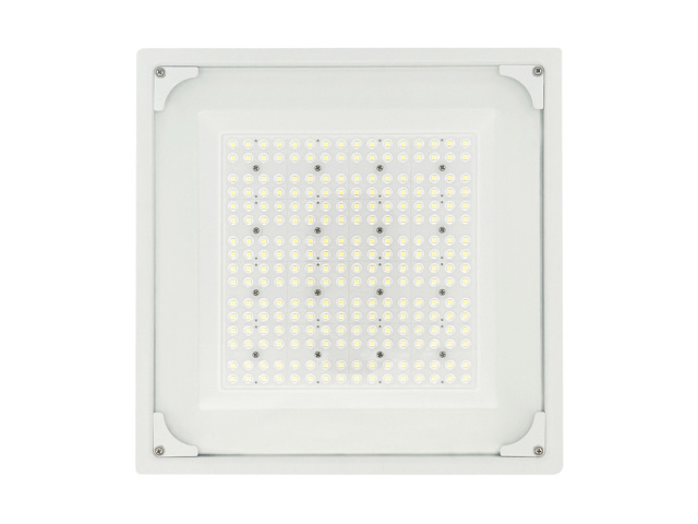 Explosion-Proof Light for Gas Stations(FY2)