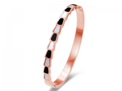 Wholesale Stainless Steel Jewelry | Bangles | HY0155B0356 | Bulk