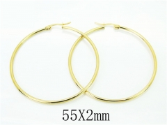Wholesale Stainless Steel Jewelry - Stainless Steel Earrings - HY58E1749IG