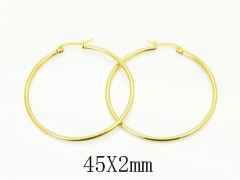 Wholesale Stainless Steel Jewelry - Stainless Steel Earrings - HY70E1560IL