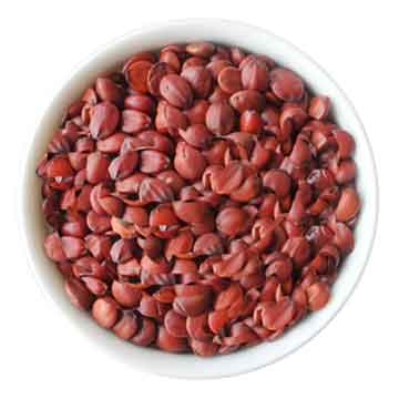 Ziziphus Seed