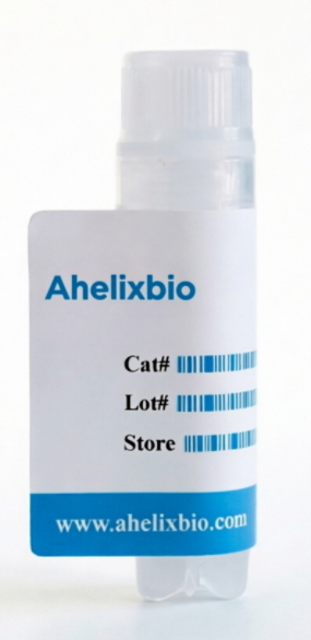 ATP5F1B Knockout cell line (Hela)