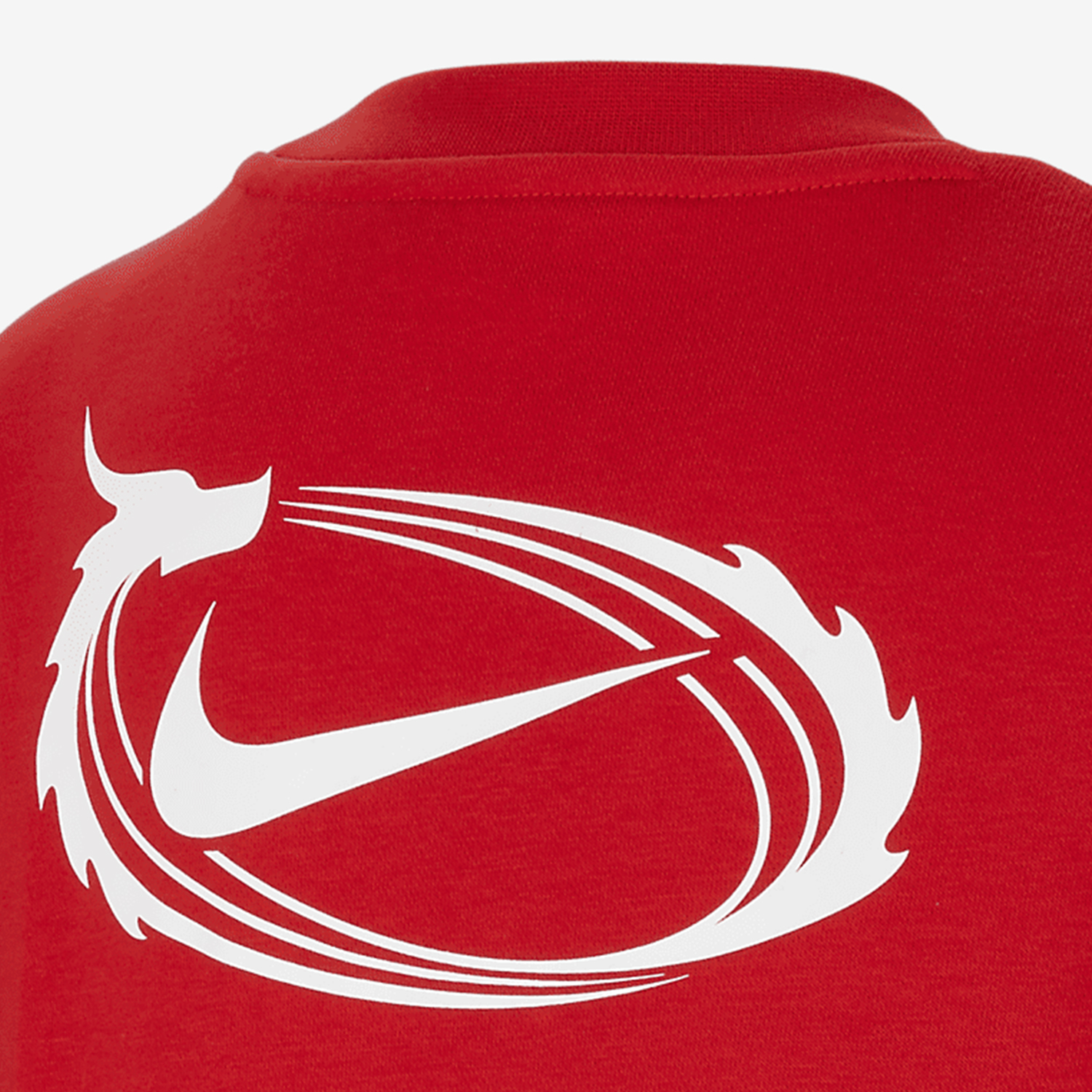 Nike Sportswear Boys and Girls Breathable Soft Sports Hoodie FZ6561-657