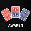 唤醒(Awaken)