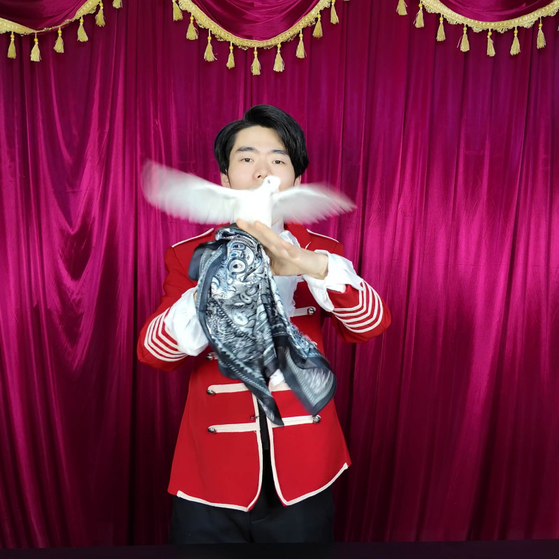 秒出鸽伴侣(Instant Dove Production Gimmick)