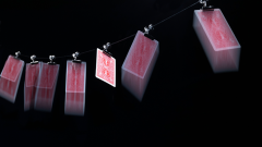 灵犀之夹  Gravity Clips by Greg Van Holsbeck