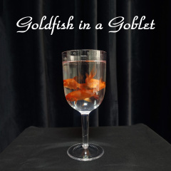 高脚杯变鱼(Goldfish in a Goblet)