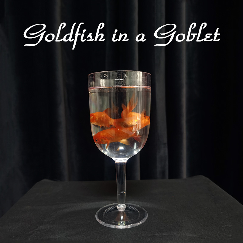 高脚杯变鱼(Goldfish in a Goblet)