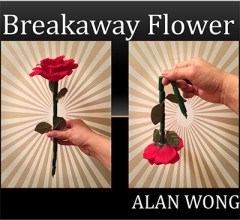 寸断玫瑰--断棒花(The Breakaway Flower)