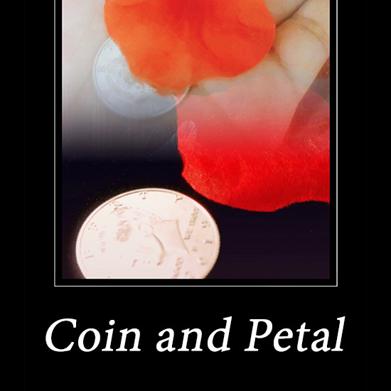 硬币花瓣(Coin and Petal)