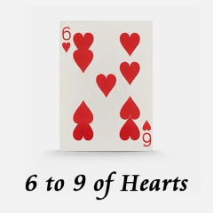 Shin lim 申林的红心6变9