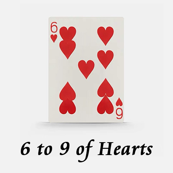 Shin lim 申林的红心6变9