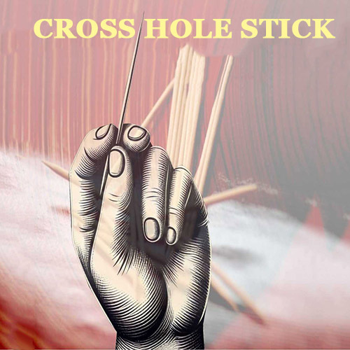 牙签穿越 Cross Hole Stick