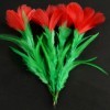 一花变五(红花)