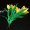 一花变五(黄花)