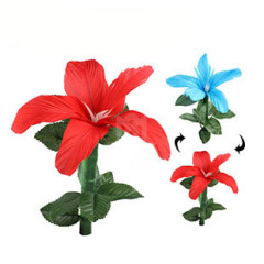 闪电变色花(Quick Color Changing Flowers)