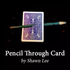 铅笔穿牌(Pencil Through Card)