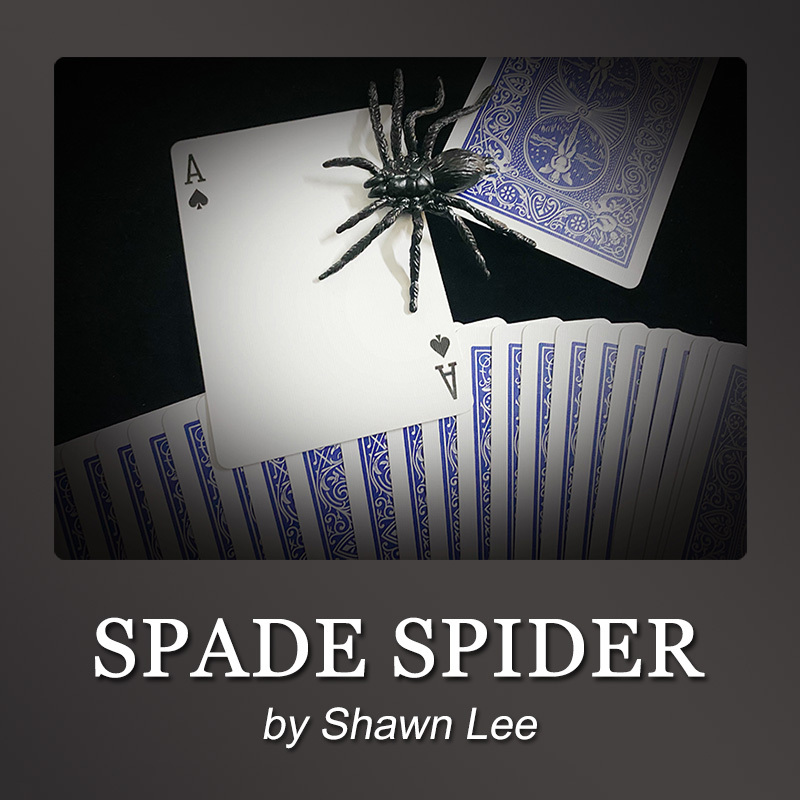 黑桃蜘蛛(Spade Spider) (S056)