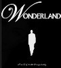 闪现硬币装置+教学(Wonderland)