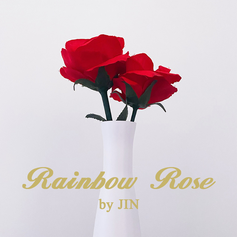 彩虹玫瑰(Rainbow Rose)