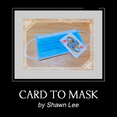牌变口罩(Card to Mask)