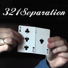VC321(321分身)