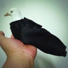 单手出鸽袋