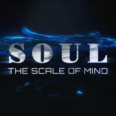 SOUL 称心如意(微型称重装置)