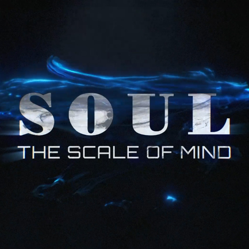 SOUL 称心如意(微型称重装置)